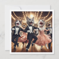 Fête costumée, Fête de danse de salle de bal, chat