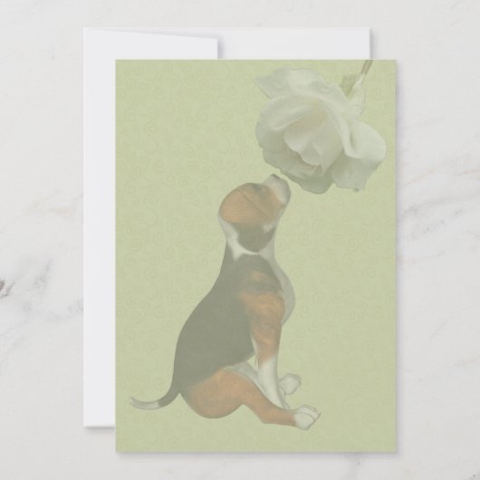 Invitation Fête d'Animal Mignon Chien Beagle Rose Blanche (Dos)