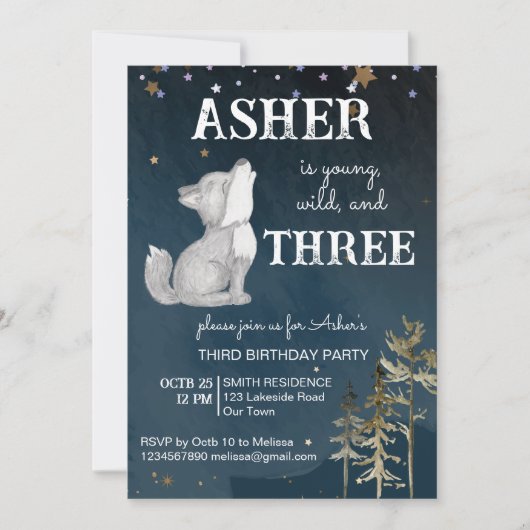 Invitation Fête d'anniversaire à thème du petit loup (Devant)