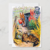 Invitation Fête d'anniversaire Beatrix Potters Bunnies regard (Devant)