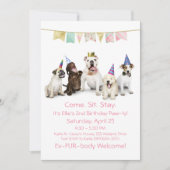 Invitation Fête d'anniversaire de chienne pour chiot fille (Devant)