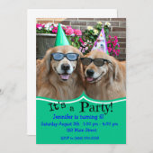 Invitation Fête d'anniversaire de golden retriever (Devant / Derrière)