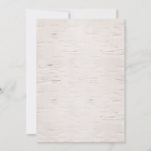 Invitation Fête d'anniversaire de la princesse d'hiver afro-a (Dos)