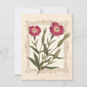 Invitation Fête d'anniversaire des 50 ans de la dame de jardi