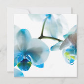 Invitation Fête d'anniversaire des Orchidées bleues/Invitatio (Dos)