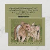 Invitation Fête d'anniversaire drôle mignonne de porcelets (Devant / Derrière)