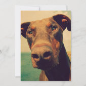 Invitation Fête d'anniversaire d'un enfant avec un Doberman m (Dos)