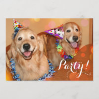 Fête d'anniversaire heureuse de chiens de golden