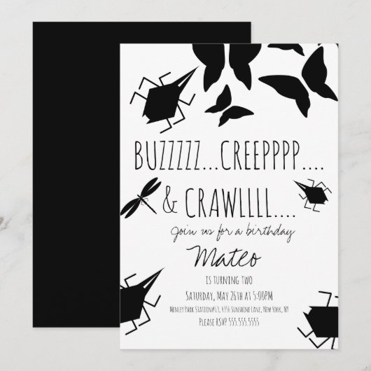 Invitation Fête d'anniversaire papillon libellule insecte  (Devant / Derrière)
