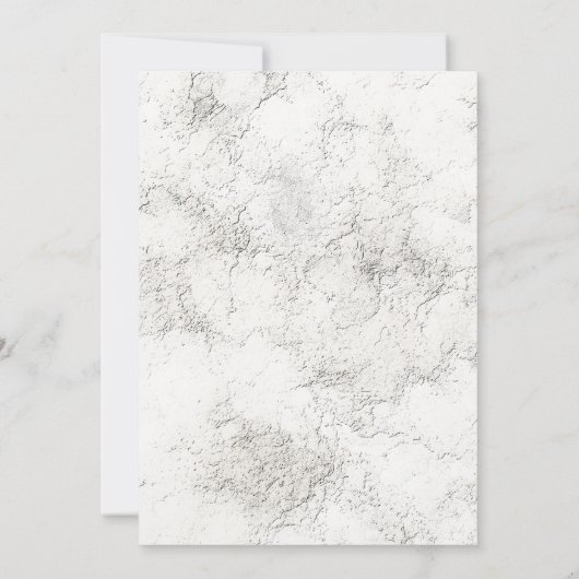 Invitation Fête d'anniversaire Rustique Gris pâle en pierre s (Dos)