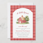 Invitation Fête de Bébé Gingham Rouge Grange Petite Pousse (Devant)
