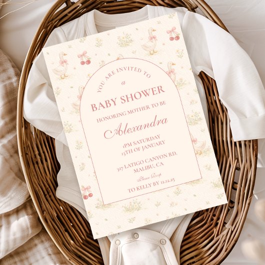 Invitation Fête de bébé Silly Goose Vintage
