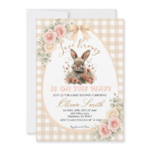 Fête de Bébé Some Bunny is on the Way sur le thème