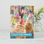 Invitation Fête de chats (Debout devant)