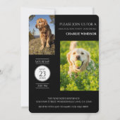 Invitation Fête de chien Noir & Blanc Diplômé (Dos)