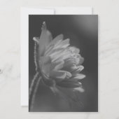 Invitation Fête de fleurs ensoleillées en noir et blanc (Dos)