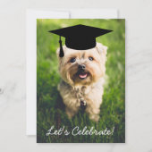Invitation Fête de graduation photo de chien amusant - Utilis (Devant)