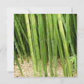 Invitation Fête de la mariée asiatique en bambou verte (Dos)