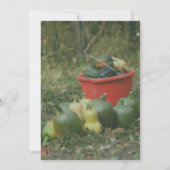 Invitation Fête de la Nature de la Moisson de Country Garden (Dos)