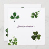 Invitation FÊTE DE LA SAINT-PATRICK shamrock champagne (Devant / Derrière)