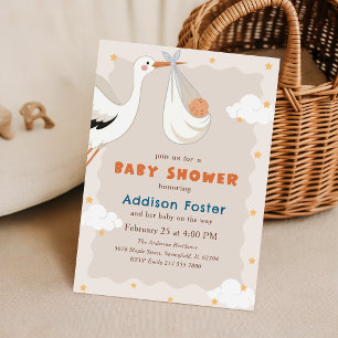 Invitation Fête de Naissance Bébé Livraison Spéciale Cigogne