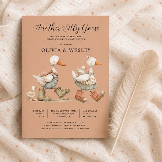 Invitation Fête de naissance de Bébé Silly Goose 2
