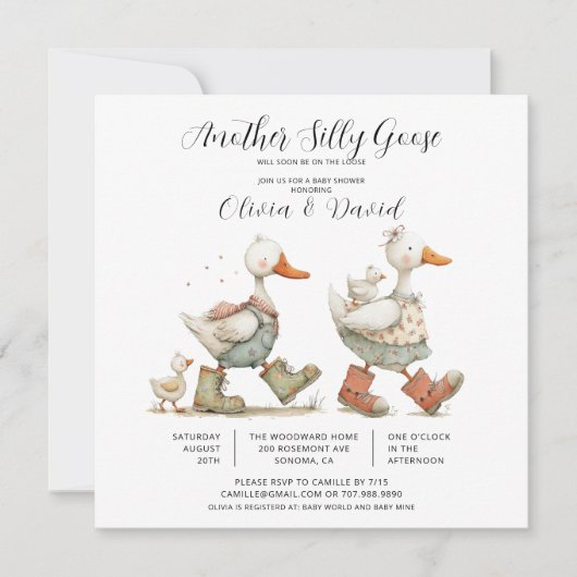 Invitation Fête de naissance de bébé Silly Goose 2 (Devant)