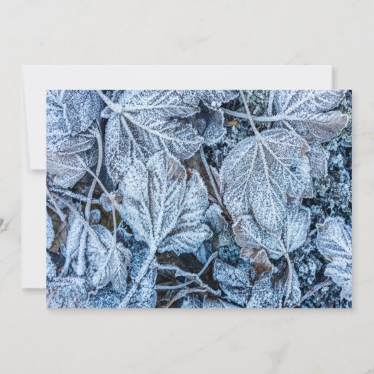 Invitation Fête de Noël Bleu Feuille Vacances de neige hiver (Dos)