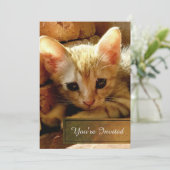 Invitation Fête de Petit Chat Mignon (Debout devant)