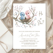 Invitation Fête de Révélation du Sexe des Douces Petits Oisea