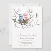 Invitation Fête de Révélation du Sexe des Douces Petits Oisea (Devant)