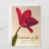 Invitation Fête des funérailles du printemps de la tulipe rou (Devant)