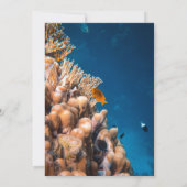 Invitation Fête des mariées côtière des récifs de poissons so (Dos)