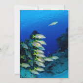 Invitation Fête des mariées côtière marine de poissons sous-m (Dos)