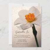 Invitation Fête des mariées de jonquille à ressort blanc (Devant)