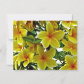 Invitation Fête des mariées Frangipani (Dos)