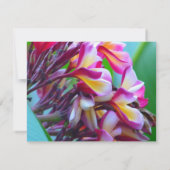 Invitation Fête des mariées Frangipani (Dos)