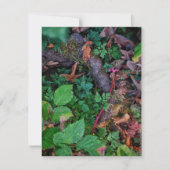 Invitation Feuillage Vert (Devant)
