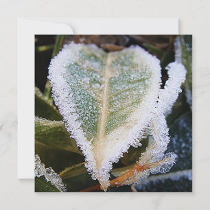 Invitation Feuille en forme de coeur avec glace