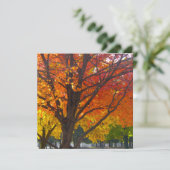 Invitation Feuilles d'automne de la photo jaune et orange (Debout devant)