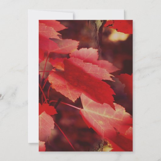 Invitation Feuilles d'automne rouges Nature  (Dos)