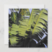 Invitation Feuilles tropicaux (Dos)
