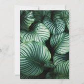 Invitation Feuilles tropicaux et ananas Luau Graduation (Dos)