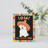 Invitation Fiesta Westie (Debout devant)
