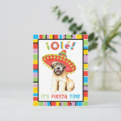 Invitation Fiesta Wheaten (Debout devant)