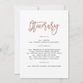 Invitation Fin de semaine de bachelorette | Faux Rose Gold Gé (Dos)