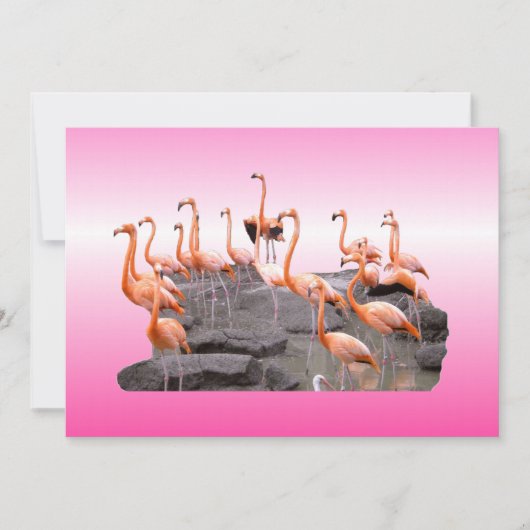 Invitation Flamant rose rose (Devant)