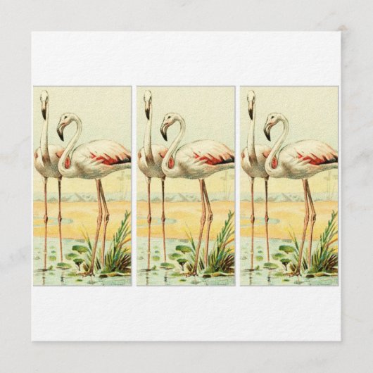 Invitation Flamant Vintage (Devant)
