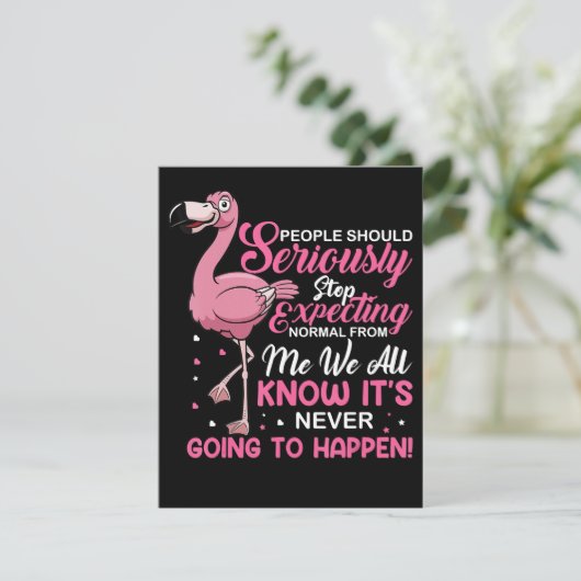 Invitation Flamingos | People Should Stop Expecting Normal (Debout devant)
