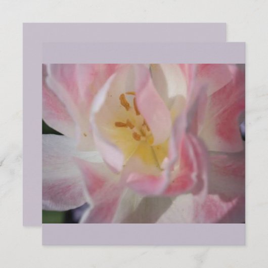 Invitation Fleur Blanche (Devant / Derrière)